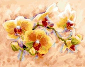 Картина по номерам 40*50 GX30819 Жёлтые орхидеи