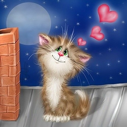 Картина по номерам 30*40 M-0182 Влюблённый кот