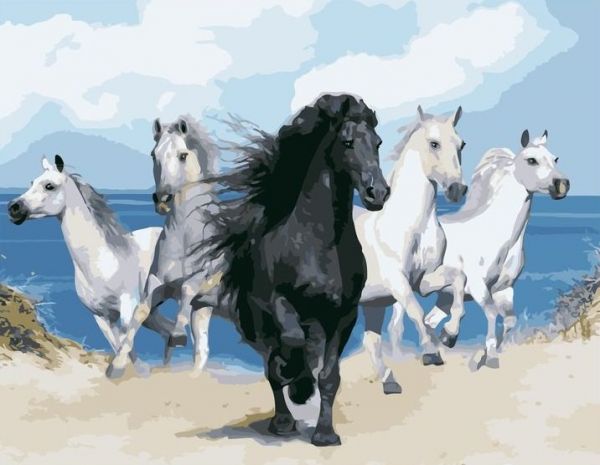 Картина по номерам 40*50 VA-0914 Скачущие лошади