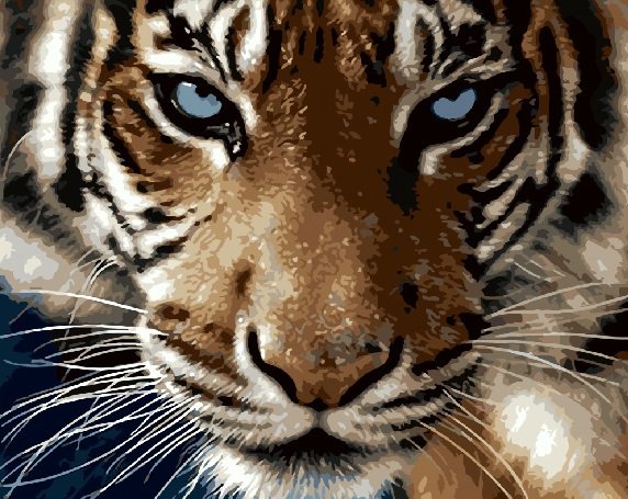 Картина по номерам 40*50 GX8767 Взгляд тигра