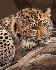 Картина по номерам 40*50 VA-0602 Взгляд леопарда
