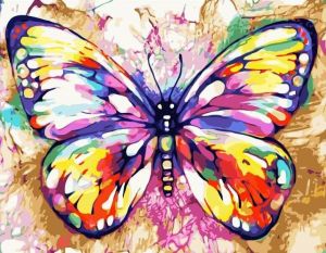 Картина по номерам 40*50 VA-1901 Красочная бабочка