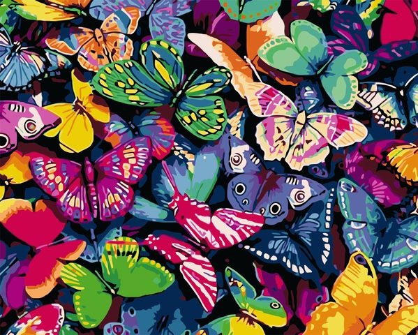 Картина по номерам 40*50 VA-0125 Красочные бабочки