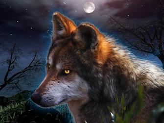 Картина по номерам 40*50 GX22994 Загадочный волк