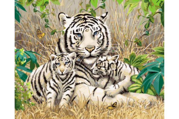 Картина по номерам 40*50 GX7810 Белые тигры
